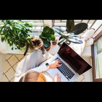Unlocking Earning Potential: Strategies to Maximize Income from Home