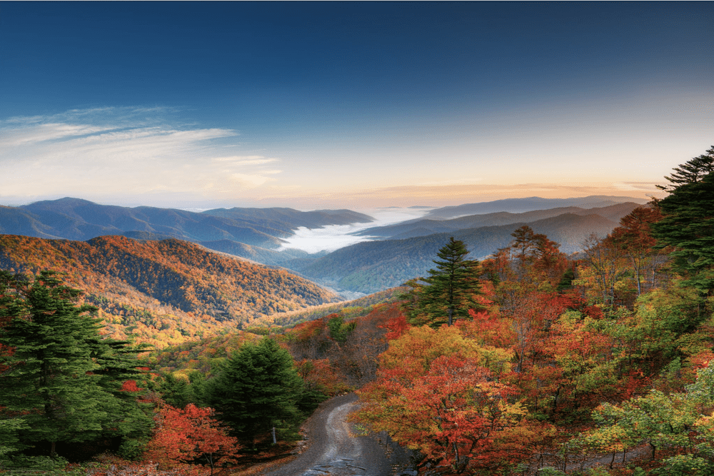 Beginner's Bliss in the Smoky Mountains Easy Camping Destinations for First-Timers